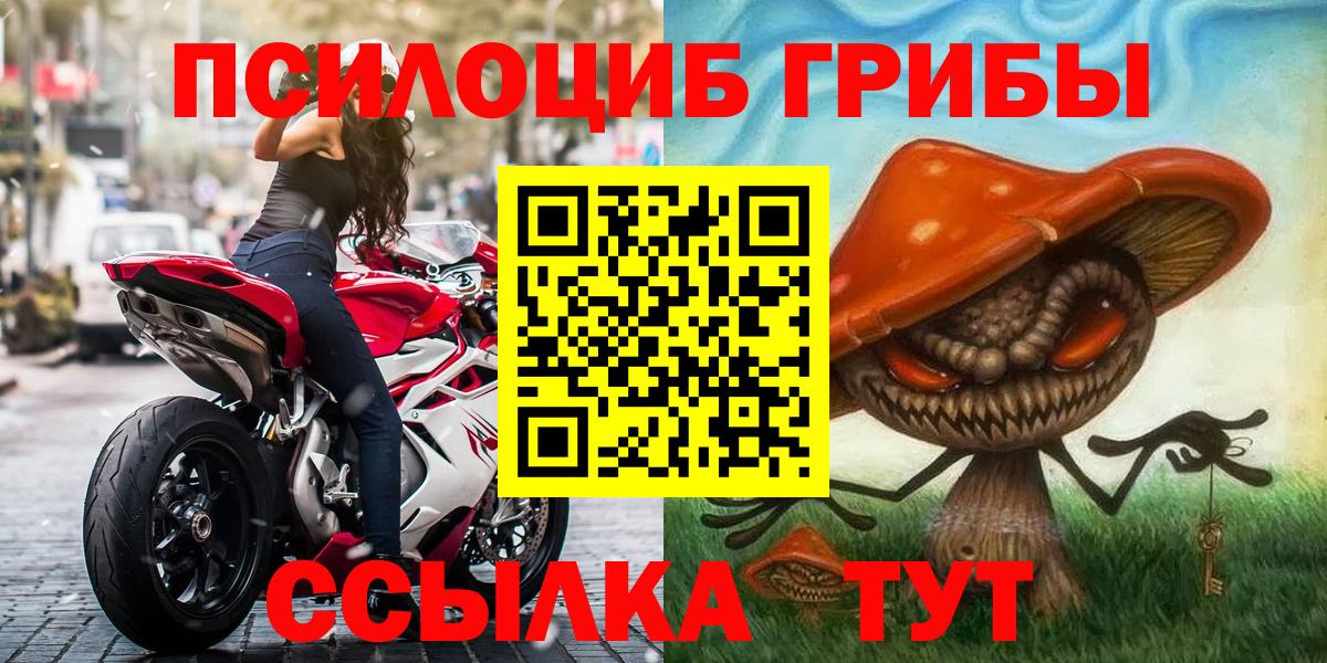 Псилоцибиновые грибы Psilocybe Волжск